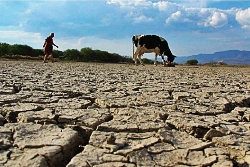 sequía campo