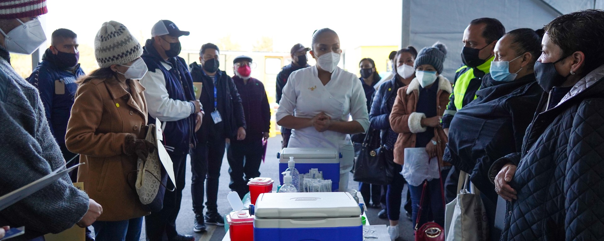 Proceso de vacunación