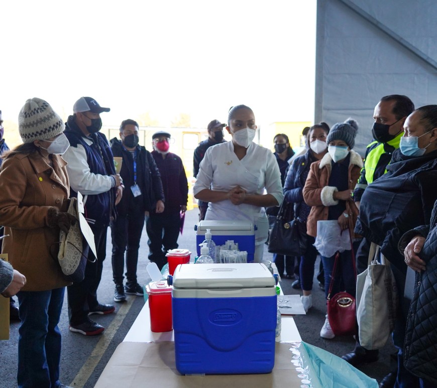 Proceso de vacunación