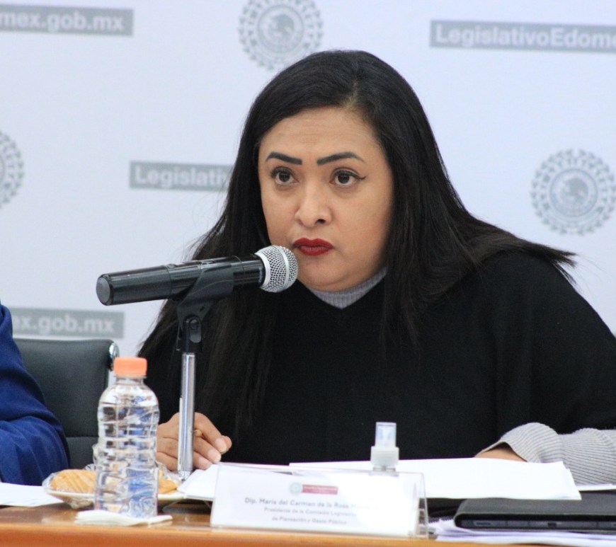 María del Carmen de la Rosa Mendoza