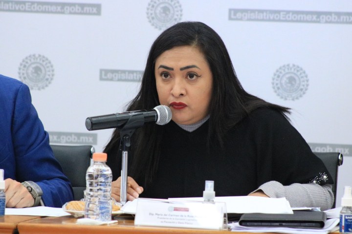 María del Carmen de la Rosa Mendoza