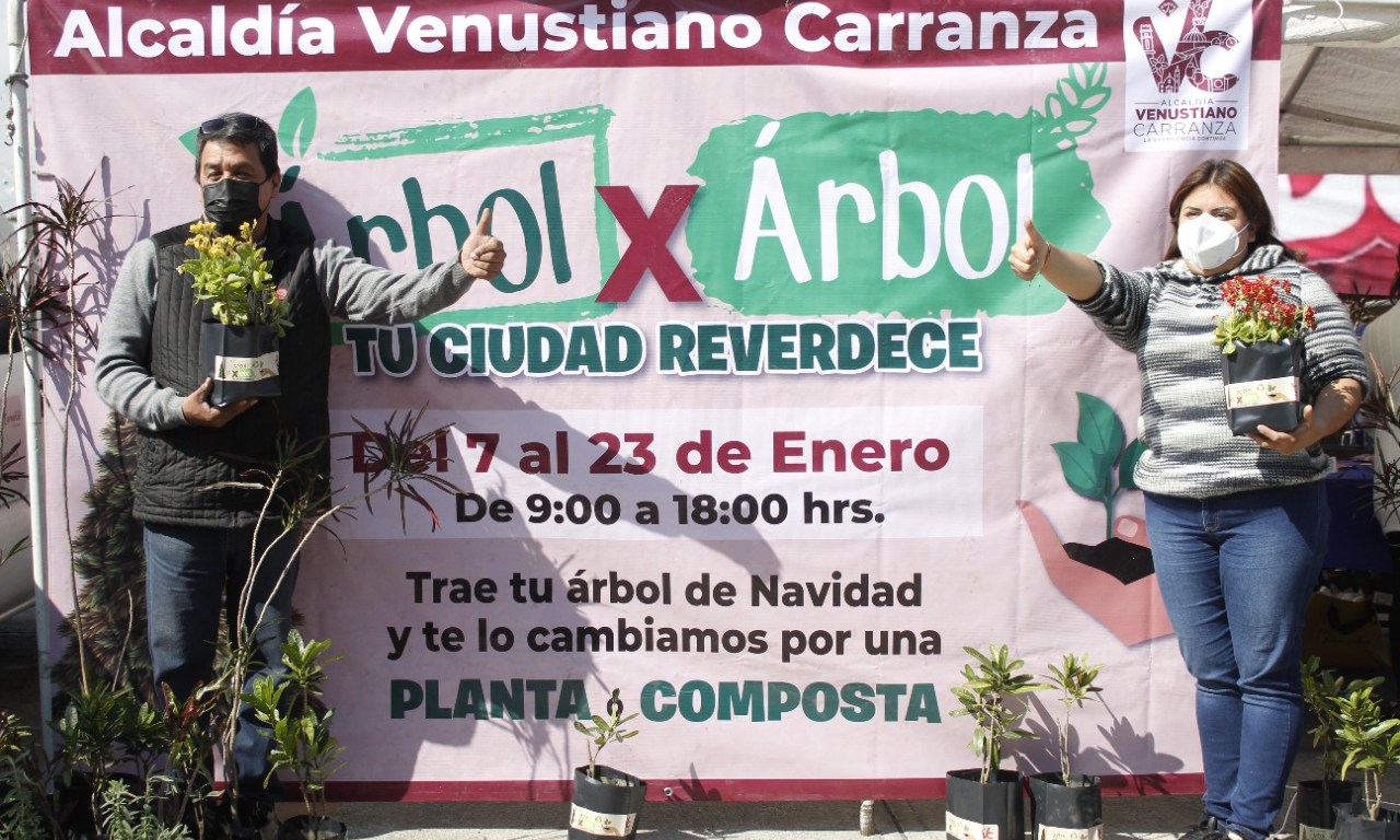 Programa "Árbol por Árbol"