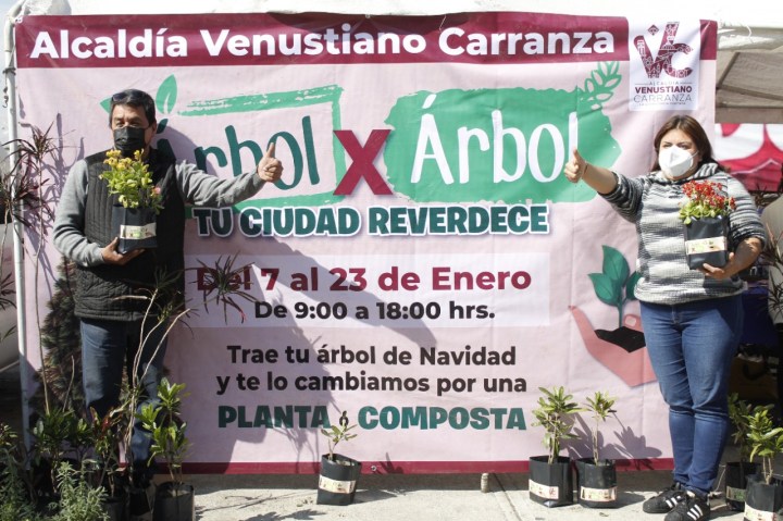 Programa "Árbol por Árbol"