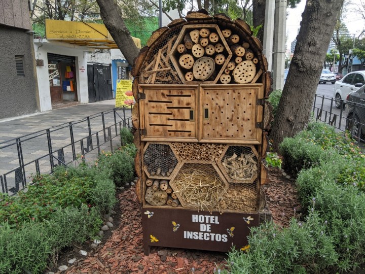 Hoteles para insectos
