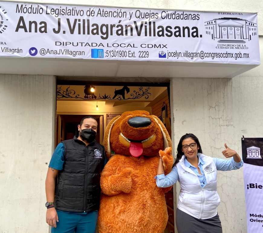 Ana Villagrán Villasana