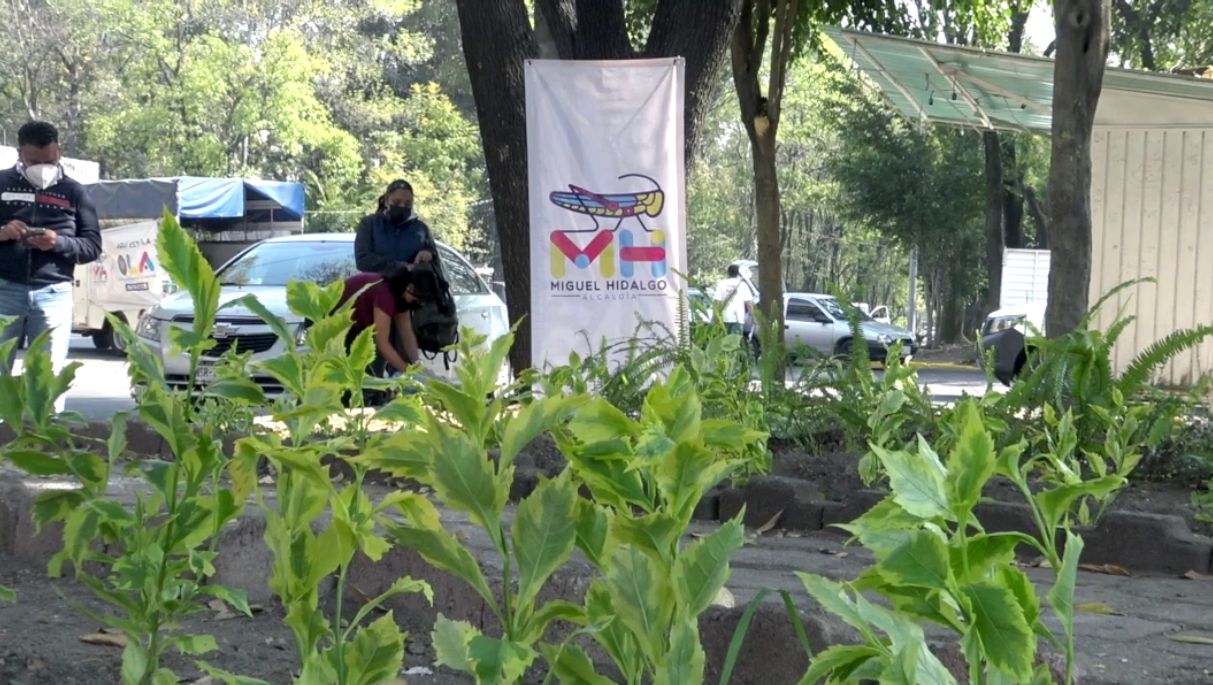 Miguel Hidalgo sustentable