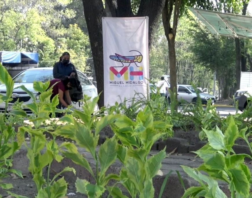 Miguel Hidalgo sustentable