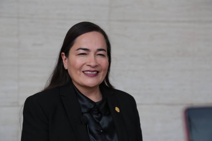 Verónica Juárez Piña