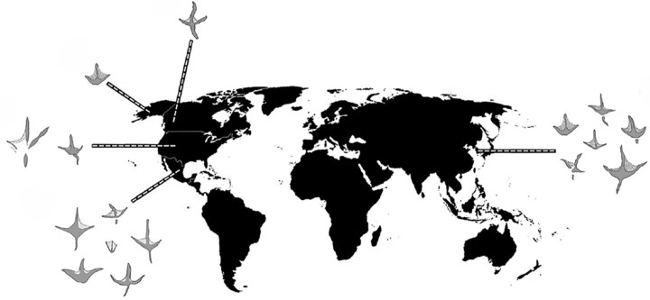 Presencia de dinosaurios en el mundo UNAM