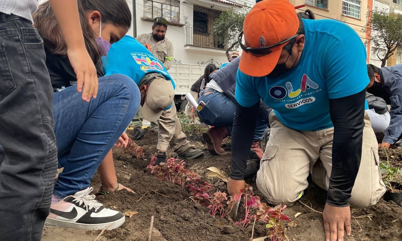 Reforestación en Miguel Hidalgo
