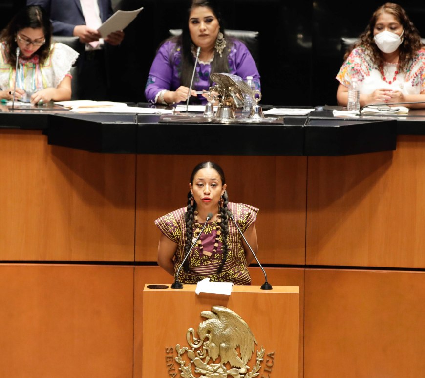 Mujer indígena en el Senado
