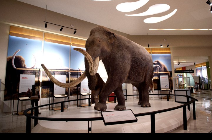 Aeropuerto Internacional Felipe Ángeles