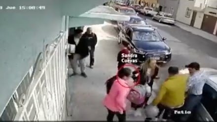 Sandra Cuevas Nieves