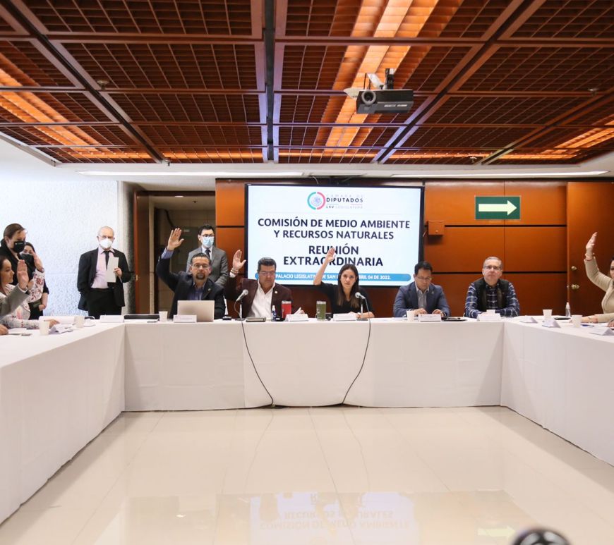 Diputados que integran la comisión de Medio Ambiente