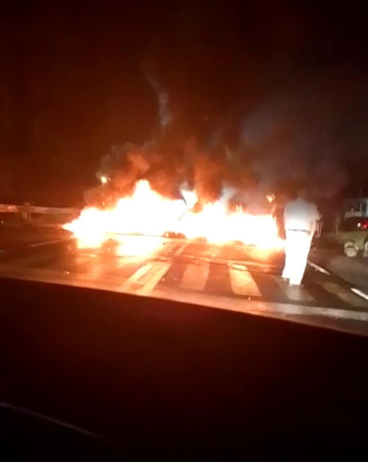 Operativo contra la tala en Tlalpan