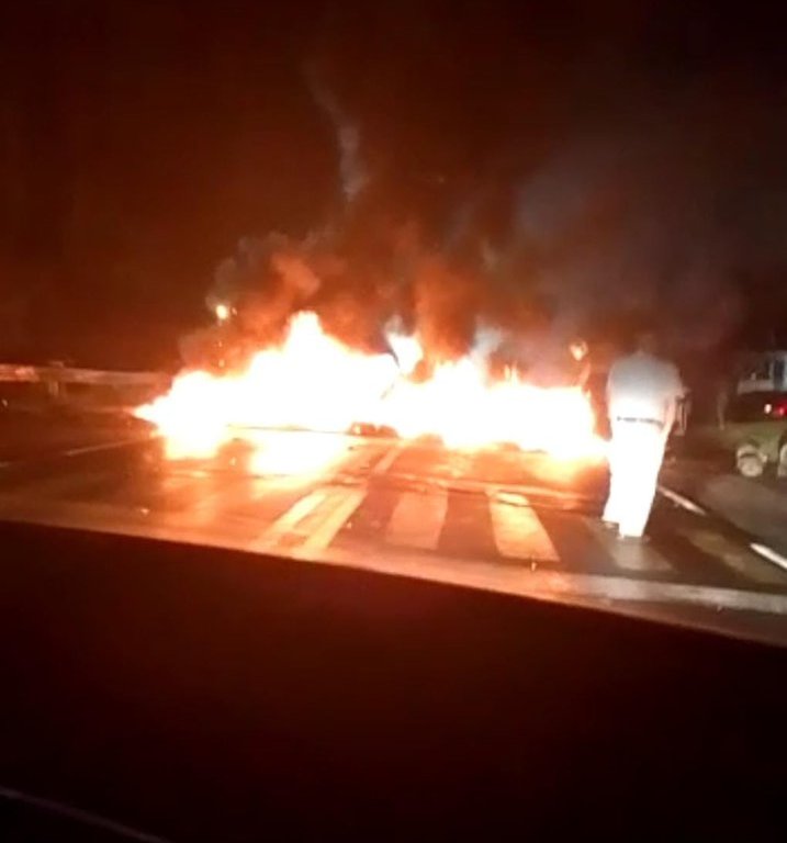 Operativo contra la tala en Tlalpan