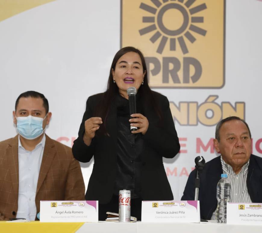 Verónica Juárez Piña