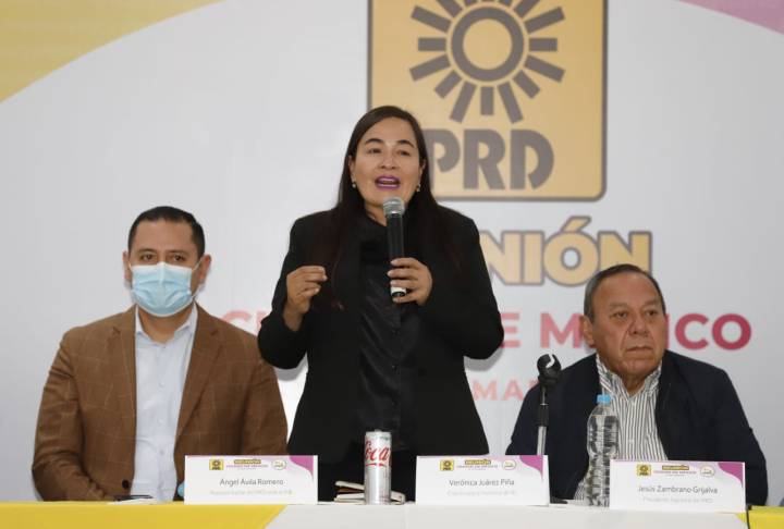 Verónica Juárez Piña