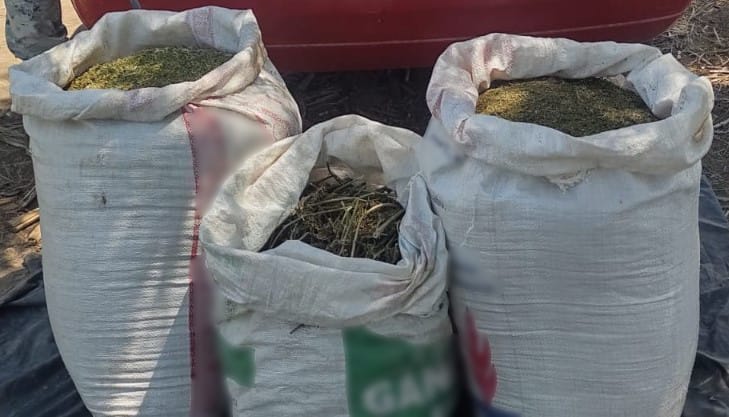 Costales con aparente marihuana