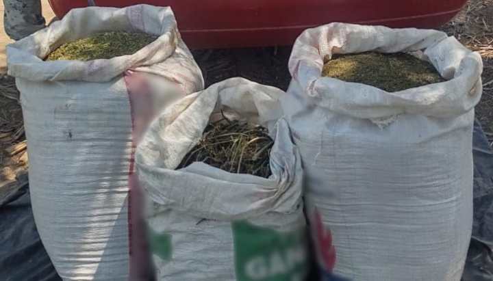 Costales con aparente marihuana