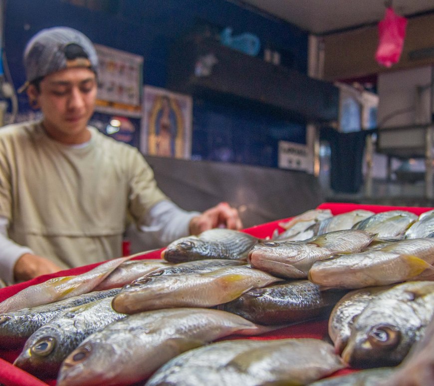 Joven pescador en el mercado Pino Suárez, en Mazatlán Sinaloa