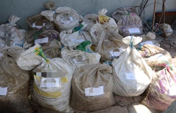 Costales con huevos de tortuga