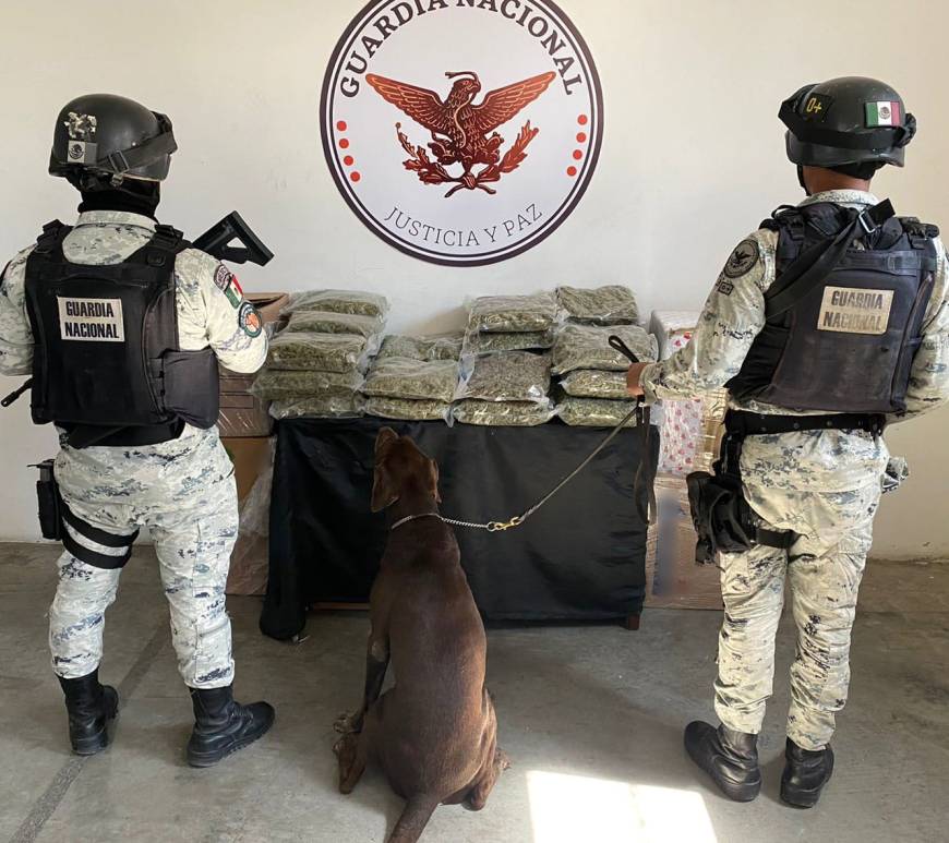 Efectivos de la Guardia Nacional con apoyo un perro