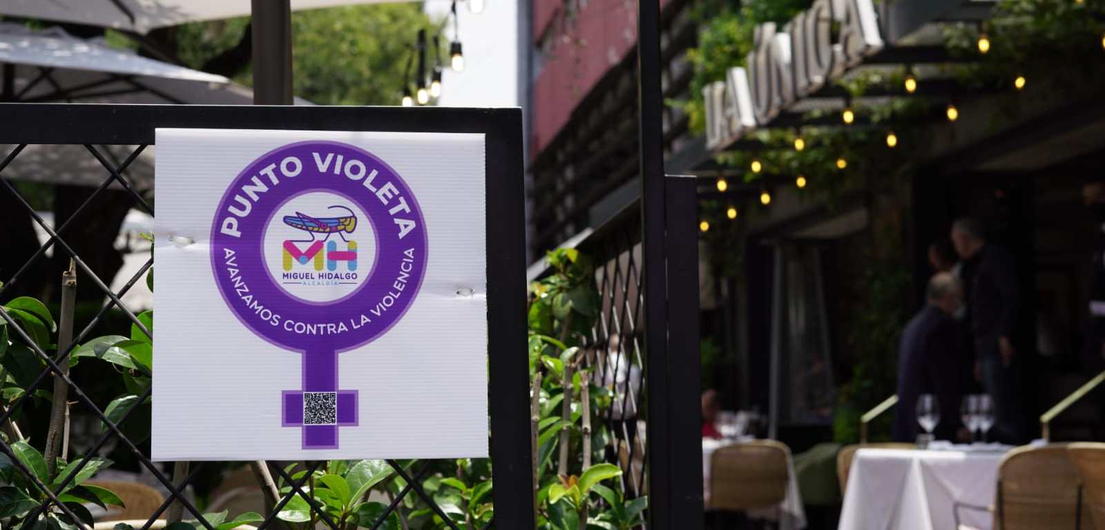 Punto Violeta