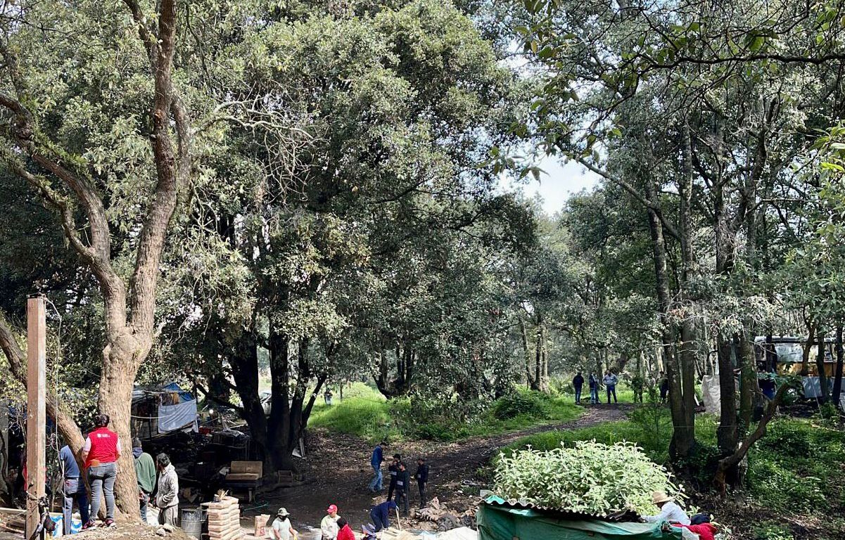 Parque ecológico de la Cdmx