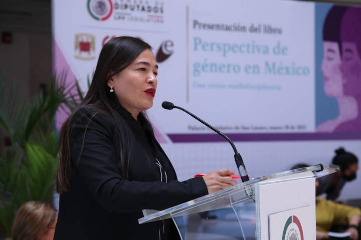 Verónica Juárez Piña