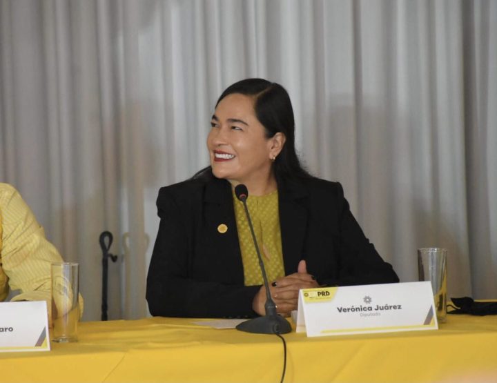 Verónica Juárez Piña