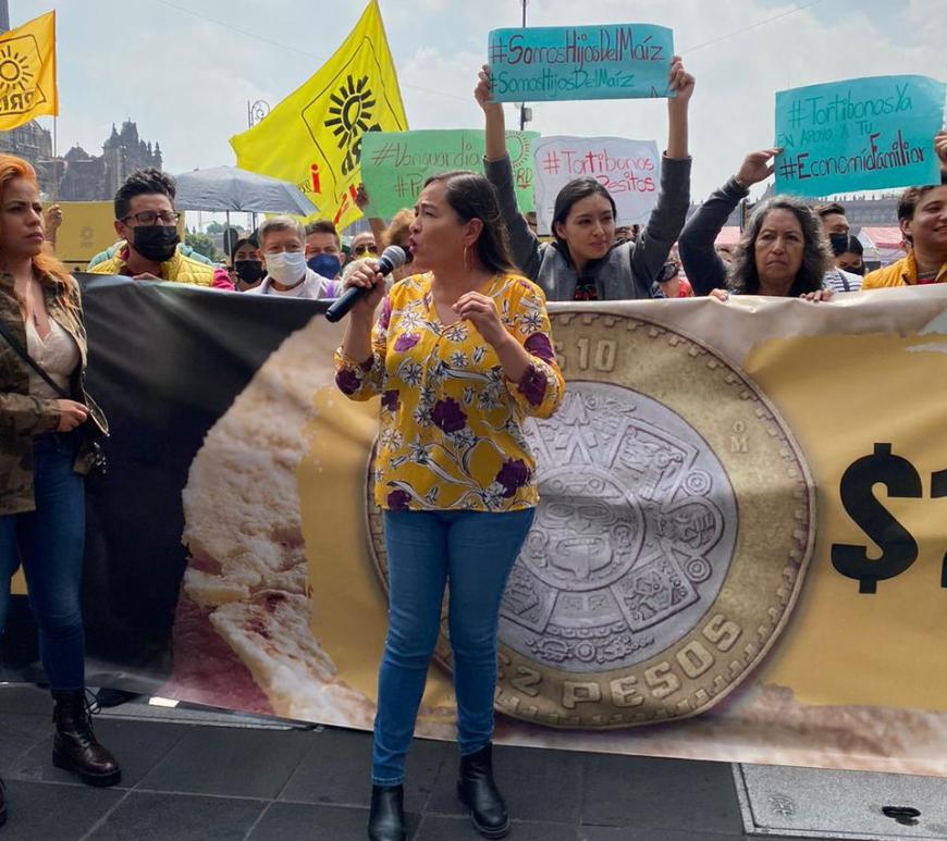 Verónica Juárez Piña