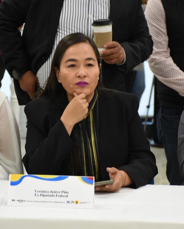 Verónica Juárez piña