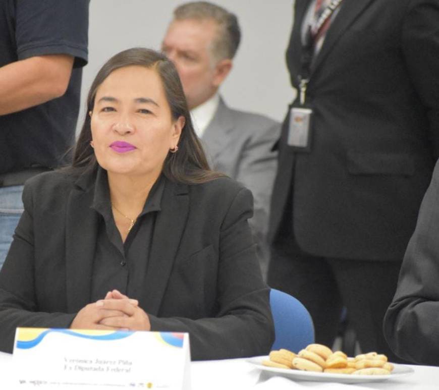 Verónica Juárez Piña