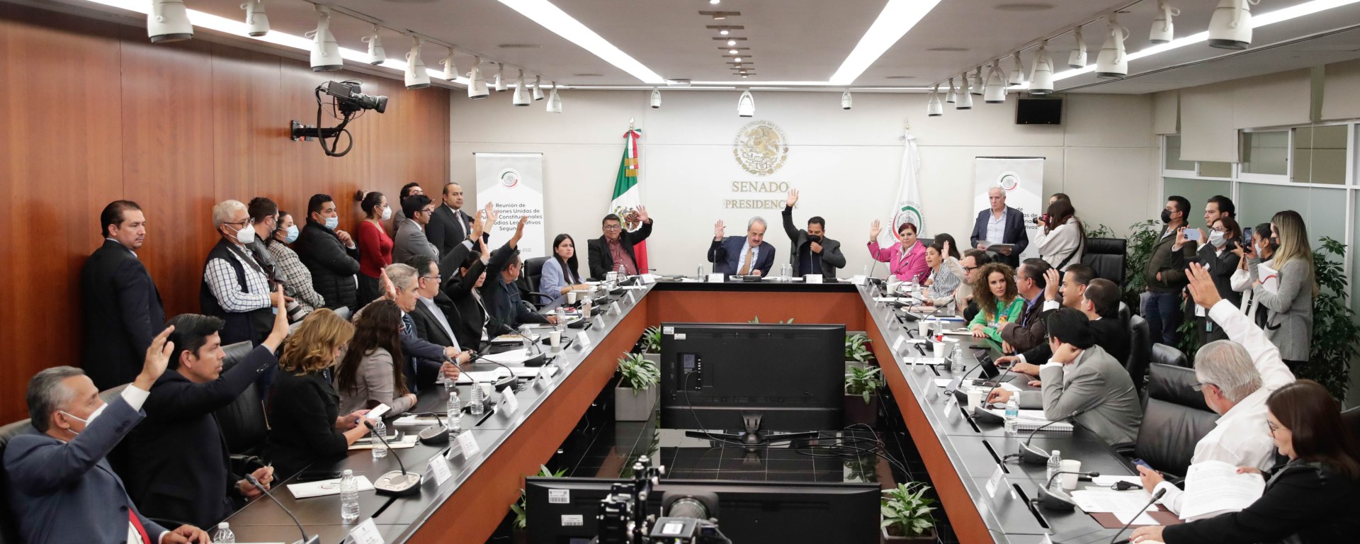 Senadores en comisiones