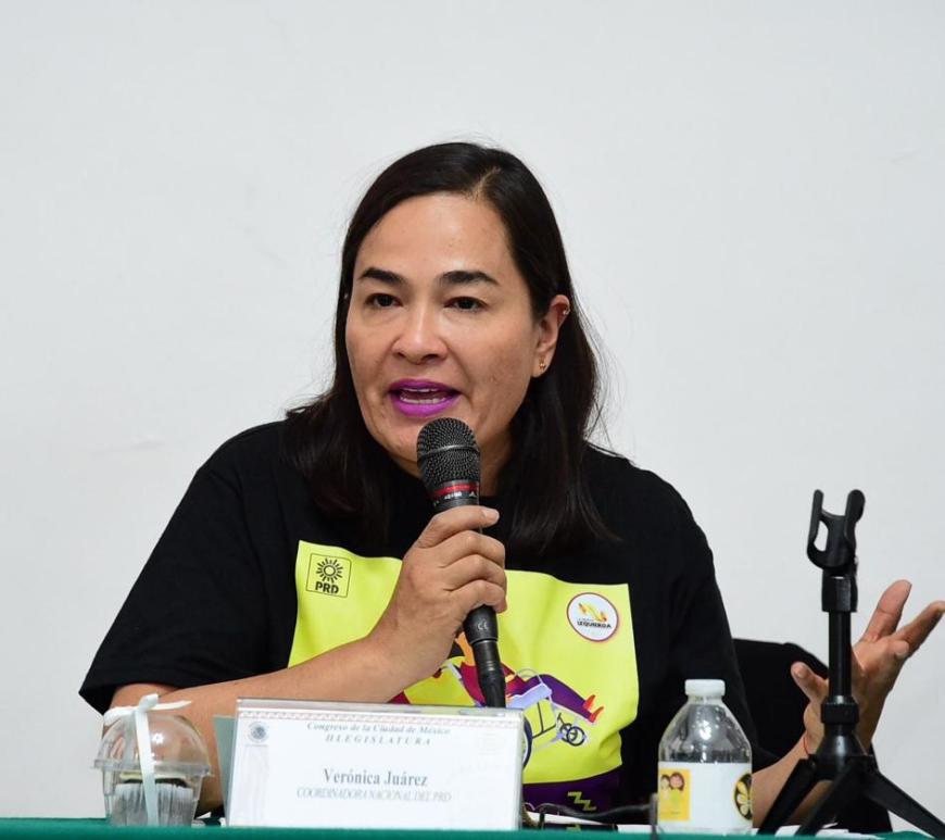 Verónica Juárez piña