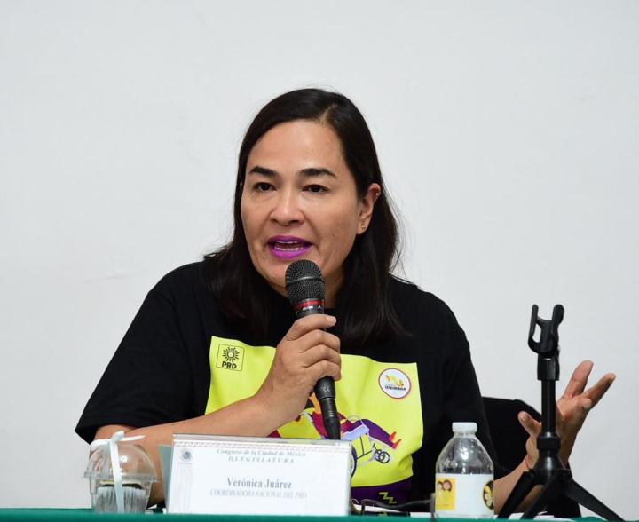 Verónica Juárez piña