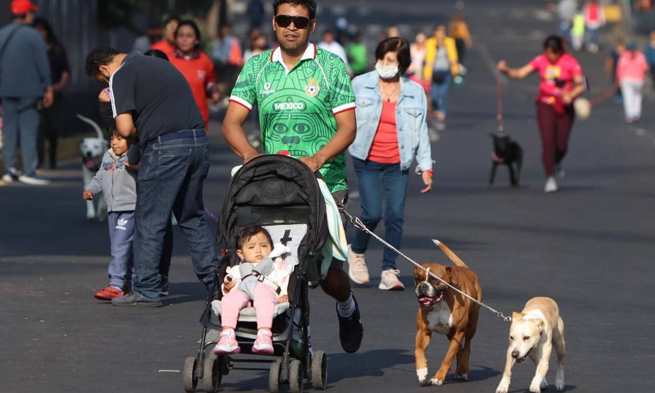 Paseo dominical con perros