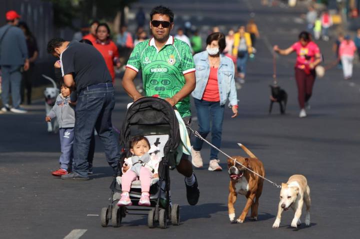 Paseo dominical con perros