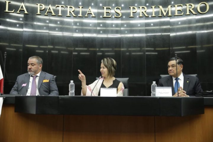 Minerva Hernández Ramos