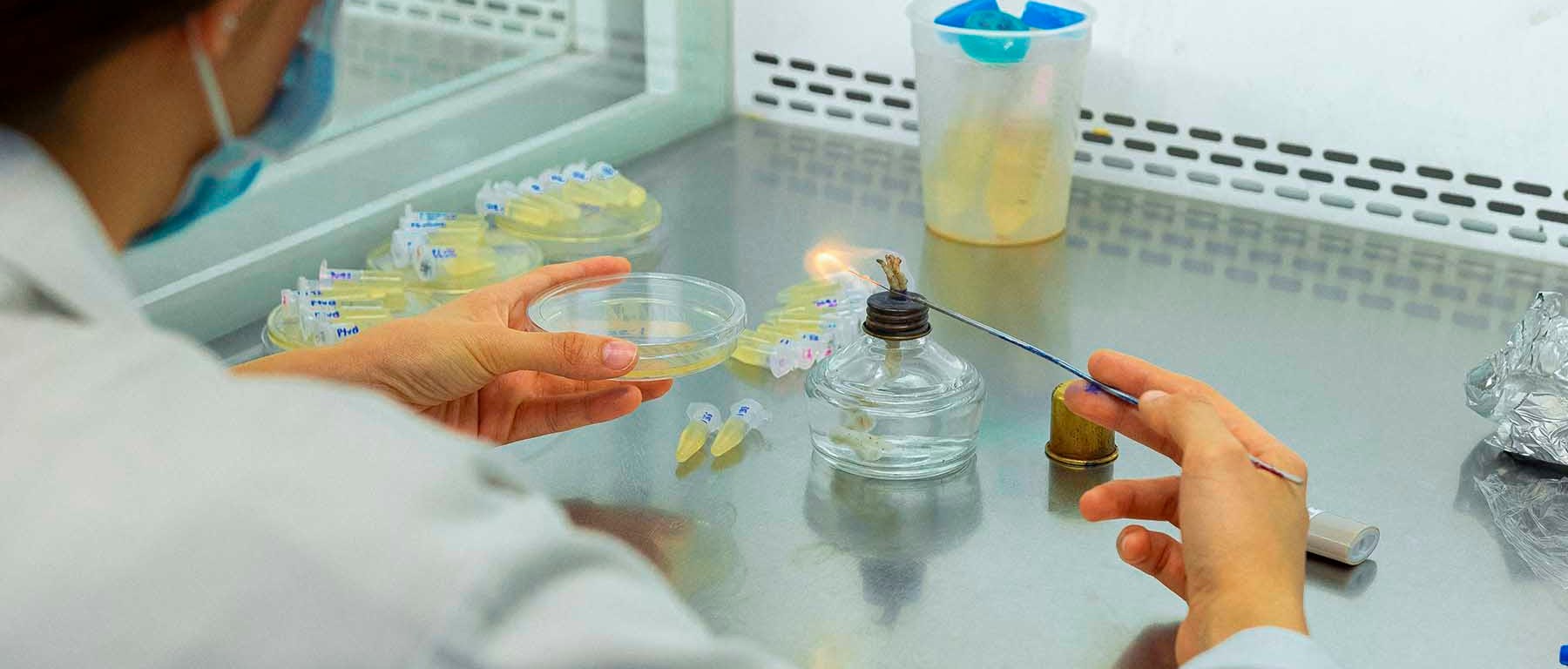 Investigador en laboratorio