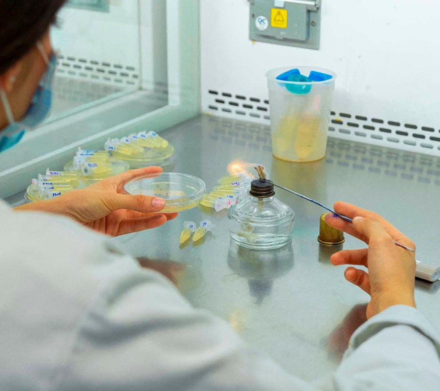 Investigador en laboratorio