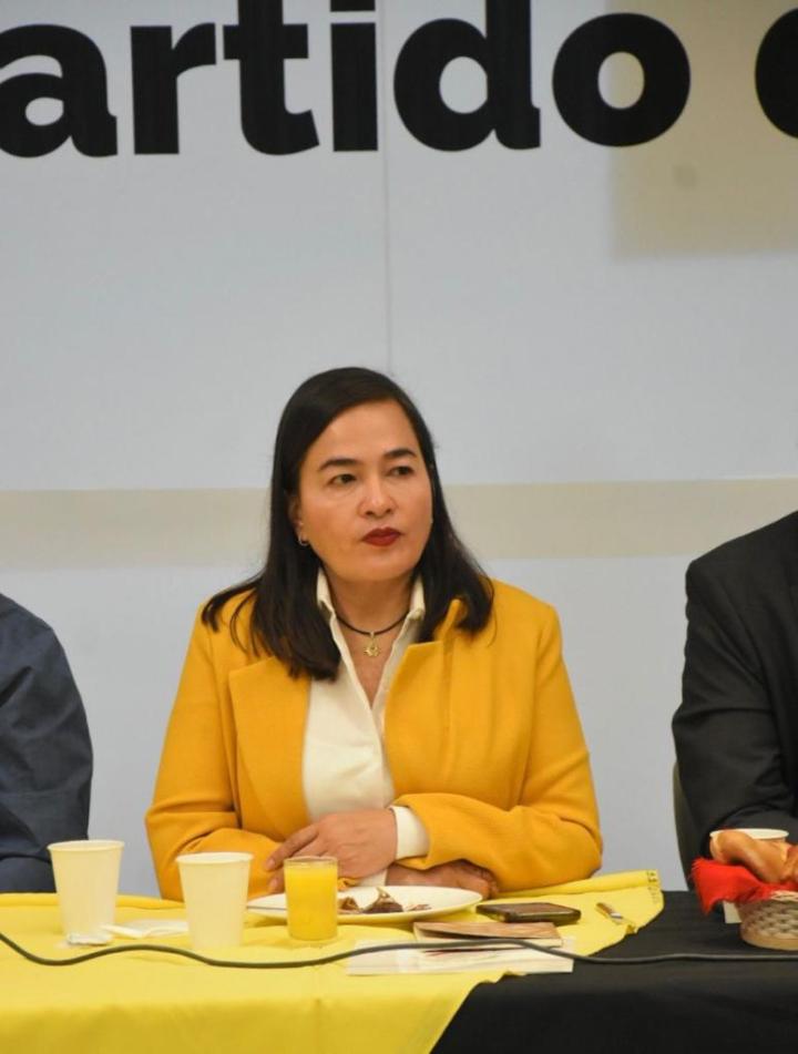 Verónica Juárez Piña