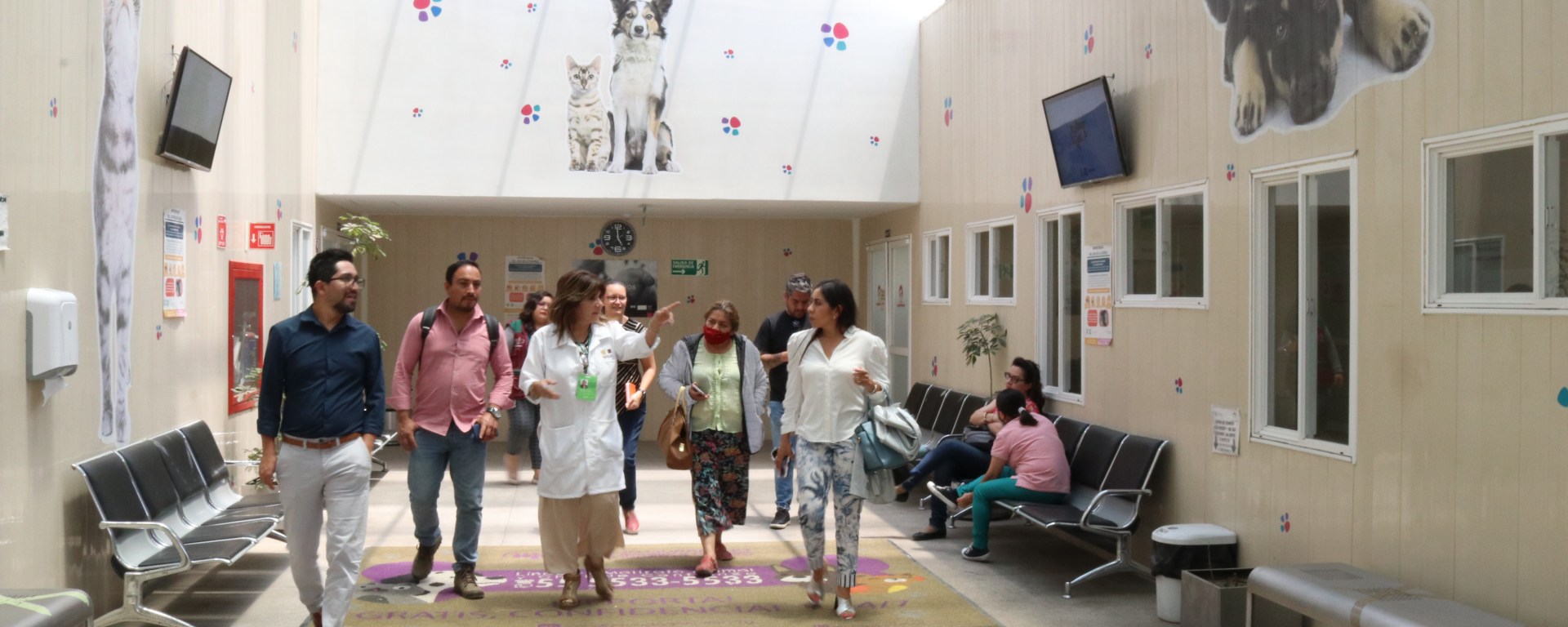 Hospital veterinario capitalino