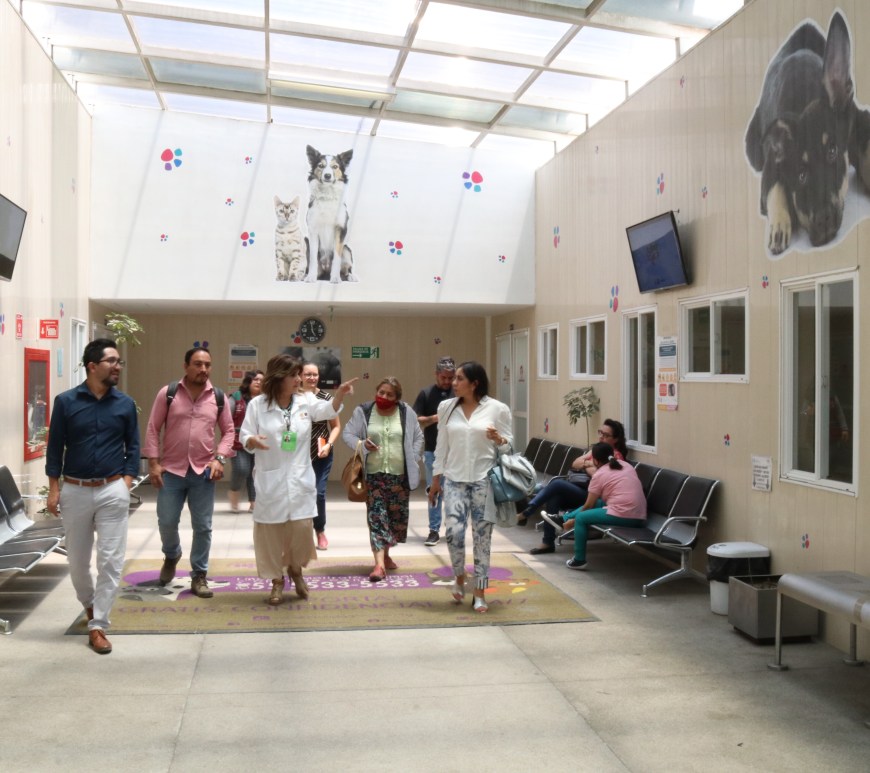 Hospital veterinario capitalino