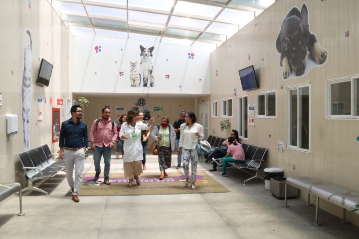 Hospital veterinario capitalino 