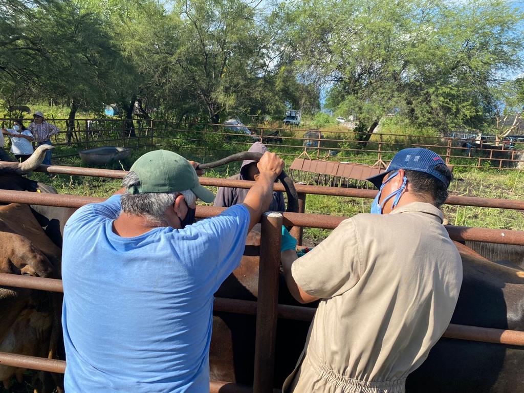Trabajadores del campo