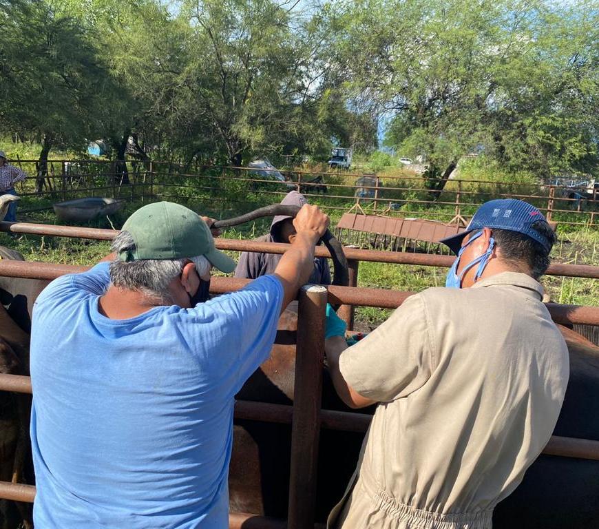 Trabajadores del campo