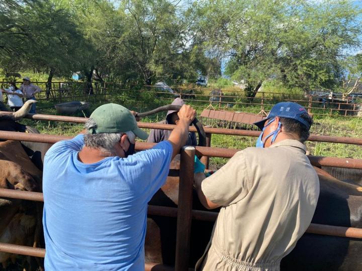 Trabajadores del campo