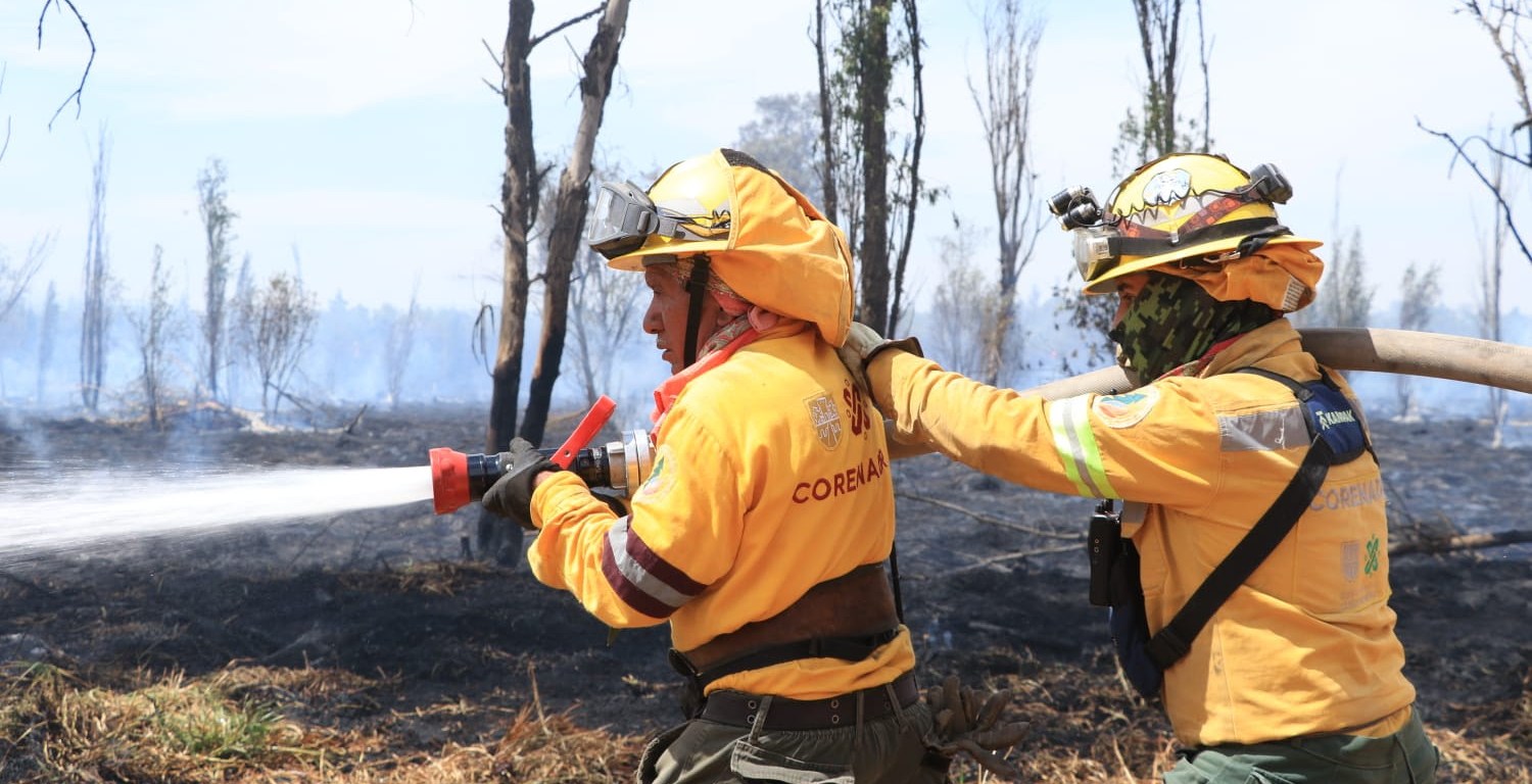 Combatientes de incendios